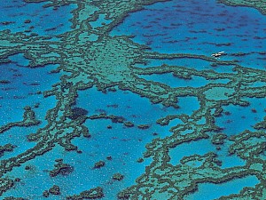Vue du ciel - Australia - Queensland - Great Barrier Reef